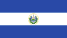 Salvador Flag